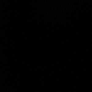 Meet your Posher, Layla